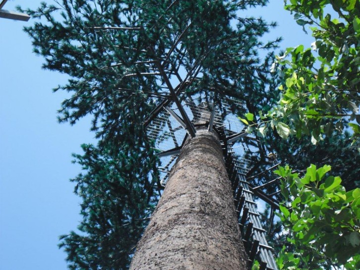 bionic pine tree tower