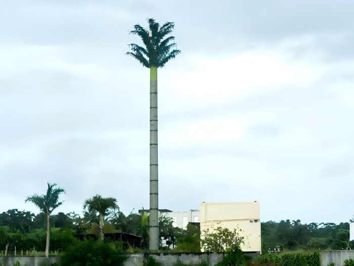 palm tree tower