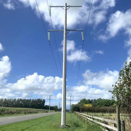 8m pole