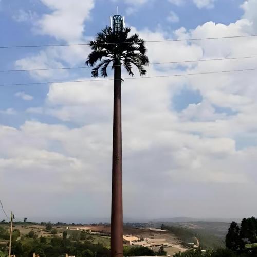 PTT TOWER11