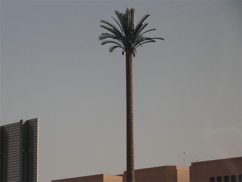 برج النخيل المموه يصدر للسعودية